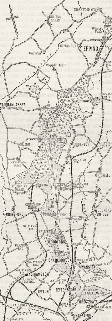 ESSEX. WALTHAM  AND EPPING. Map of Epping Forest 1888 old antique chart